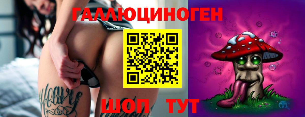 Заволжье  Псилоцибиновые грибы Psilocybe  Вход с VPN 